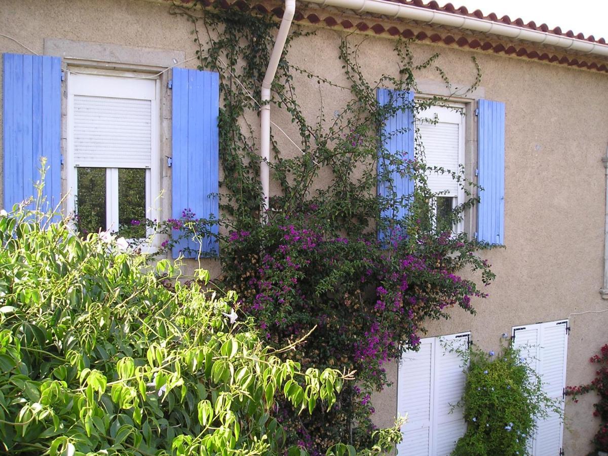 Gite Papy Albert جرْويسا المظهر الخارجي الصورة